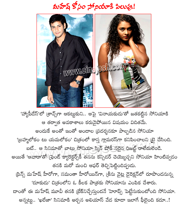 prince mahesh latest film dookudu,mahesh and samanta paired up for dookudu,samanta with mahesh in dookudu,director srinu vaitla latest film dookudu,happydays fame sonia in dookudu,happy days sonia with mahesh,sravs sonia in dookudu,mahesh next flick  prince mahesh latest film dookudu, mahesh and samanta paired up for dookudu, samanta with mahesh in dookudu, director srinu vaitla latest film dookudu, happydays fame sonia in dookudu, happy days sonia with mahesh, sravs sonia in dookudu, mahesh next flick